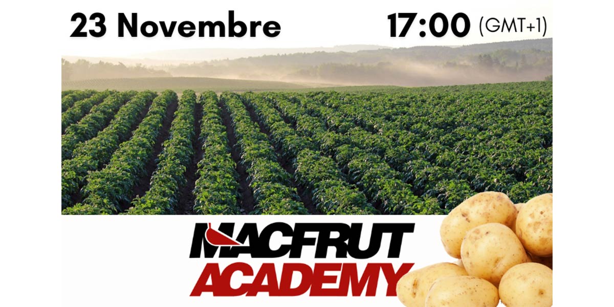 Macfrut Academy fa lezione sulla filiera della patata